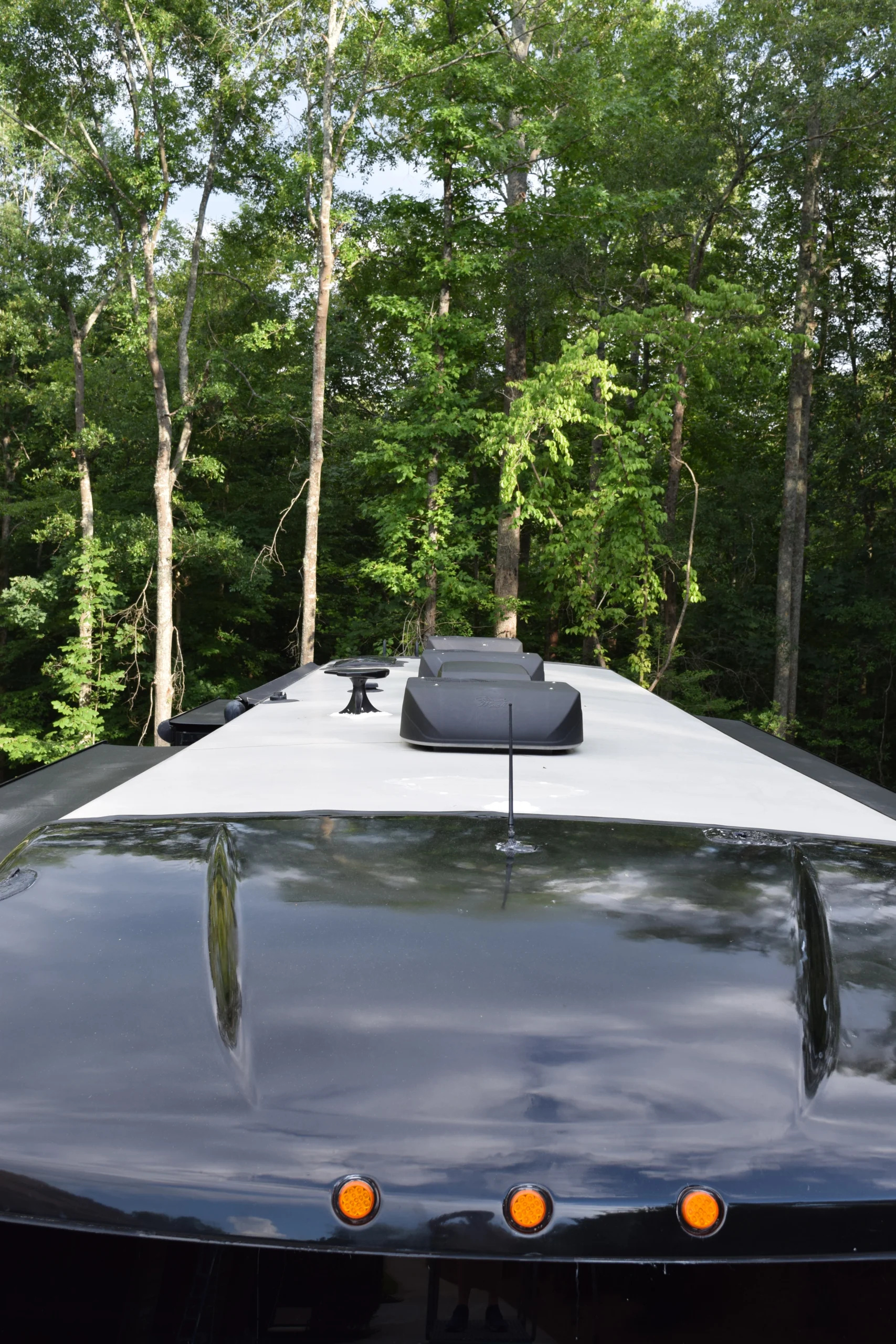 DSC_0569 Top view of a Motorcoach's reflective black roof under tall green trees, featuring several vents and an antenna.